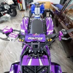 YAMAHA BANSHEE 350 — CUSTOM PURPLE BUILD 🔥